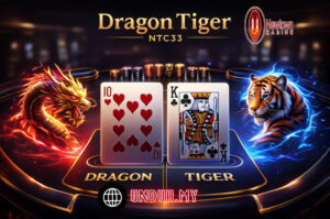 dragon tiger ntc33